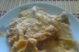 Pleurotus pane