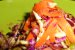 Salata cu varza si morcov-6