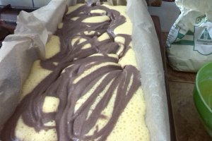 Chec cu crema ole de ciocolata