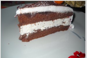 Tort rapid
