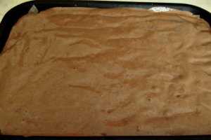 Desert prajitura cu piscoturi incorporate in blat