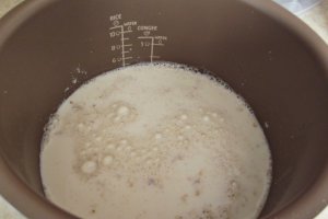 Budinca din fulgi de ovaz si gris