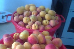 Dulceata de caise