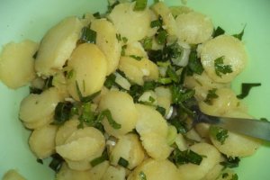 Salata orientala