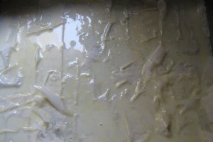 Placinta Puturoasei