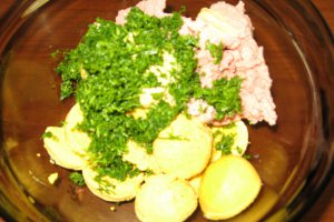 Soricei deliciosi