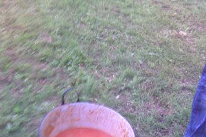 Gulas de vita reteta originala