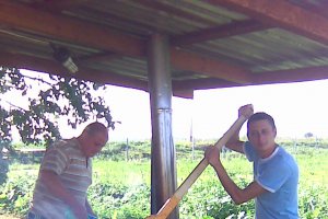 Gulas de vita reteta originala