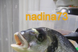 Dorada umplut in lacu rosu