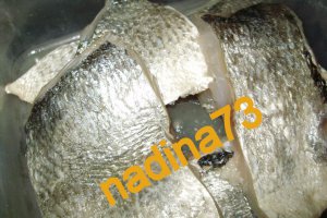 Peste dorada pane