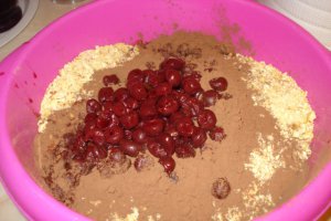 Salam de biscuiţi, reţetă cu visine si stafide