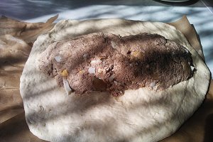 Pirog (placinta umpluta cu carne de curcan)