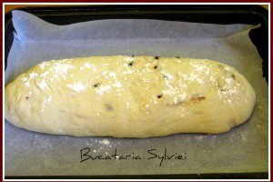 Ciabatta cu masline