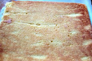 Rulada cu jeleu de fructe si crema de branza