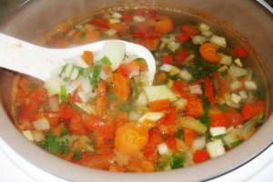 Ciorba cu perisoare de pui (Multicooker)