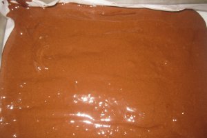 Desert prajitura cu iaurt si caise