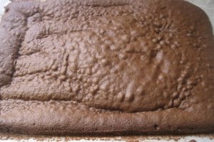Desert prajitura cu iaurt si caise