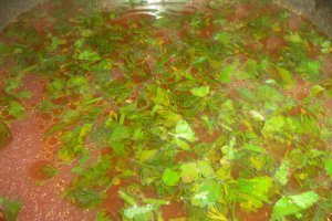 Ciorba de naut cu hrisca