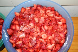 Dulceata de capsuni reteta