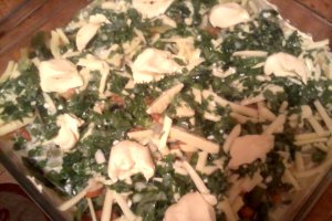 Legume Gratinate