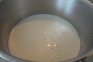 Lapte de pasare (2)Schneenockerl mit Kanarimilch