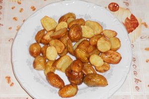 Ciuperci cu creier