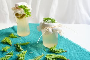 Sirop din muguri de brad (in 30 min)