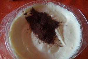 Tort cu crema de iaurt si ness - Reteta nr. 200