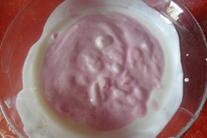 Tort cu crema de iaurt si ness - Reteta nr. 200