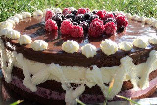 Tort cu ricotta si mousse de fructe de padure