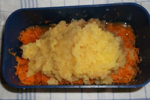 Chec cu morcovi si mere - Multicooker
