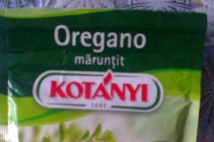 Pizza cu ton si anchoa