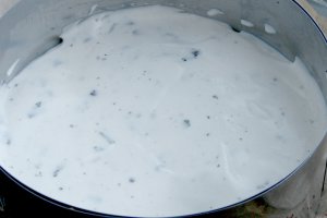 Tort Stracciatella