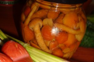 Tortellini cu ciuperci si carnaciori