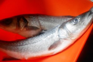Biban de mare en papillote