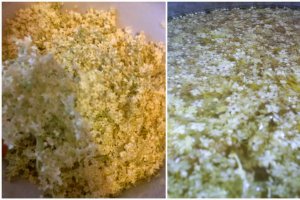 Sirop din flori de soc
