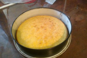 Tort de lamaie