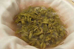 Sirop din muguri de brad