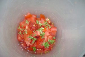 Bruschete picante cu roşii ulei de masline şi busuioc