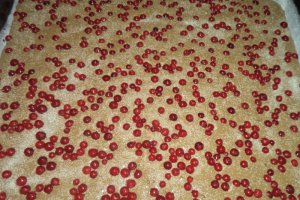 Prajitura cu strugurei si crema din piscoturi cu mascarpone