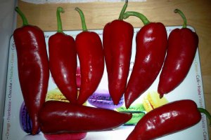 Adei copti umpluti cu branza in tempura