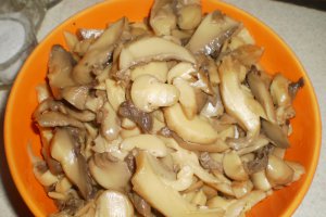 Ciulama de ciuperci cu garnitura