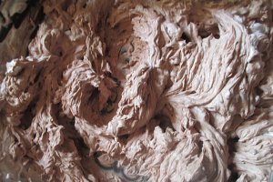 Prajitura cu ciocolata,crema si frisca
