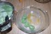 Gnocchi din spanac cu sos alb de branzeturi-2