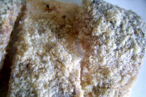 Crap in crusta aromata la cuptor