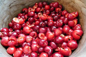 Dulceata de cirese