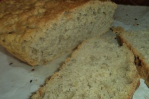 Paine de ovaz