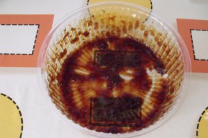 Tort de inghetata cu cacao, rom si stafide