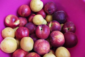 Gem asortat (caise, piersici si nectarine)