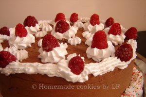 Tort cu mousse de ciocolata si zmeura